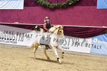 161006_abo_01__D050855.JPG