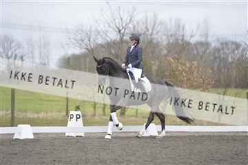 168174_kbb_1__KBB0027.JPG