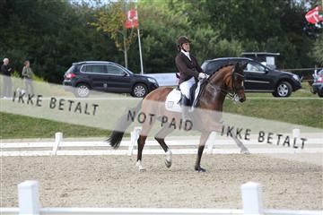 148862_sg_01_IMG_3311.JPG