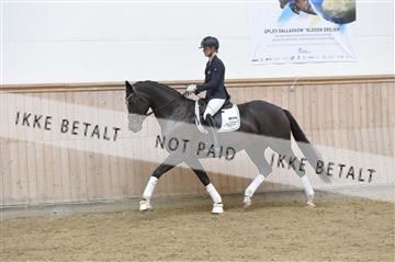 160111_nn_01__ESK1478.JPG