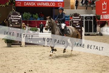 175934_avh_02_6872.JPG