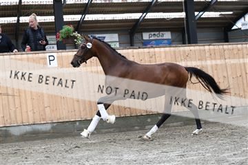 181757_avh_01_5445.JPG