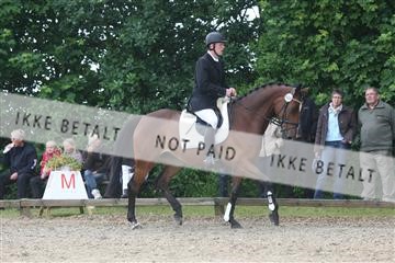 135518_ms_01_IMG_1338.JPG