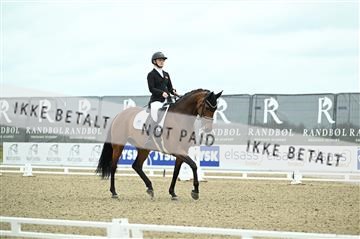 181449_kbb_03Z09_0169.JPG