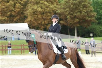 181923_mtp_03_R62_7923.JPG