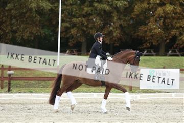 181923_mtp_03_R62_7940.JPG