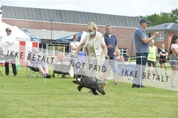 168981_bkn_01__MHR0302.JPG