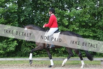 135518_ms_01_IMG_0376.JPG