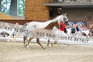 174806_jss_04_R6II3942.JPG