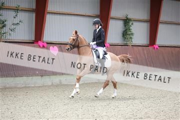 173883_mtp_01_3M5A0738.JPG