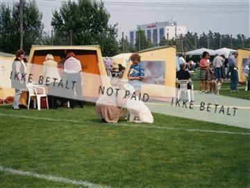 Enid hundeudstilling dommer.jpg