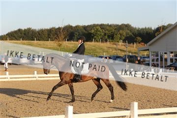 148862_sg_01_IMG_2095.JPG