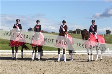148862_sg_02_IMG_4303.JPG