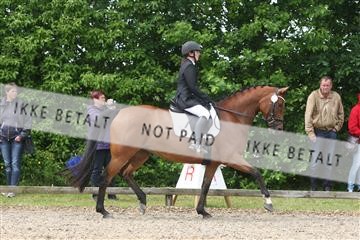 135518_ms_01_IMG_1388.JPG
