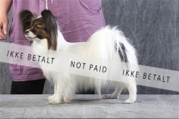 129608_le_ 01_0432.JPG