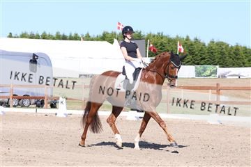 181449_bc_01R62_5971.JPG