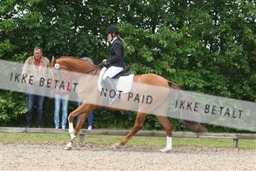 135518_ms_01_IMG_1420.JPG