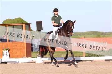 181449_bc_01R62_6455.JPG