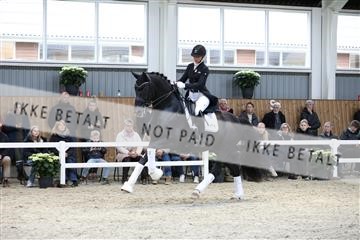 179088_mtp_01_3M5A4042.JPG