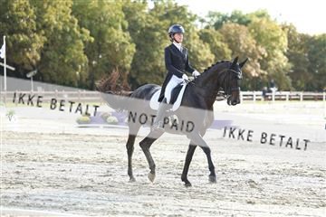 181923_mtp_04_R62_9226.JPG