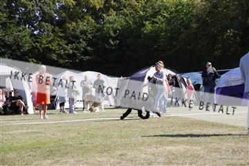 181848_kar_01__62_3122.JPG