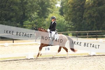 181894_mtp_02_R62_2349.JPG