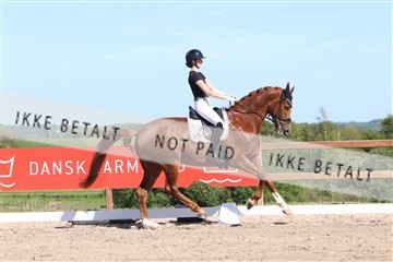 181449_bc_01R62_5966.JPG