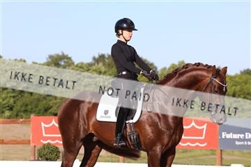 181449_bc_01R62_6420.JPG