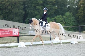 181894_mtp_04_R62_4052.JPG