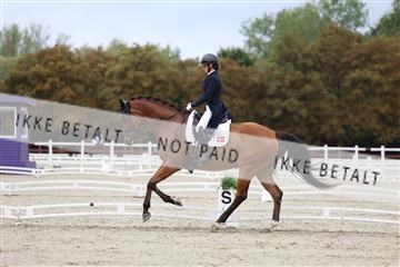 181923_mtp_01_R62_6454.JPG