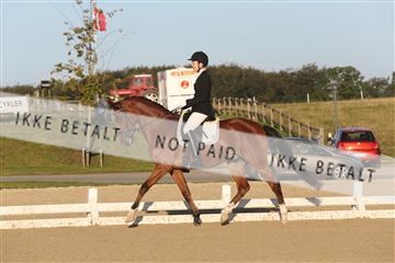 148862_sg_01_IMG_2247.JPG