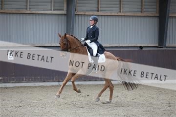 171210_mtp_01_3M5A6688.JPG