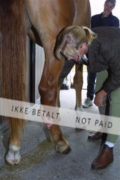 1257_04_100-0012_IMG.JPG