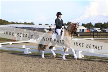 181894_mtp_05_R62_5874.JPG