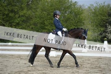 155778_ms_01__MS14801.JPG
