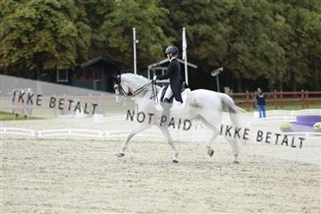 181923_mtp_04_R62_8383.JPG
