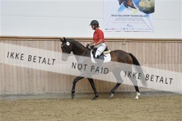 160111_nn_01__ESK1612.JPG