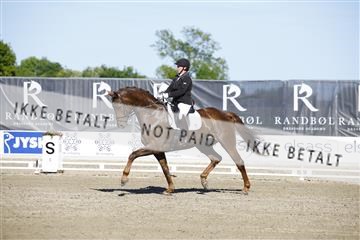 181449_kbb_01_6II9681.JPG