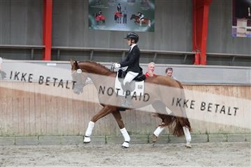 181867_mtp_02_R62_4555.JPG
