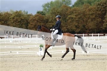 181923_mtp_03_R62_7267.JPG