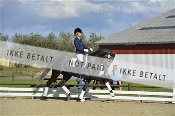 136195_abo_01__AB16630.JPG