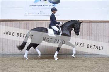 160111_nn_01__ESK1462.JPG