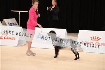 164079_jbr_02_JB3_8540.JPG