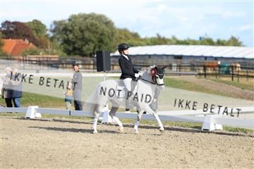 181894_mtp_05_R62_5508.JPG