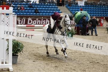 175934_avh_02_7646.JPG