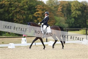 181894_mtp_04_R62_3276.JPG