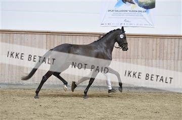 160111_nn_01__ESK2229.JPG