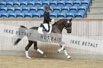 160111_nn_01__ESK1432.JPG