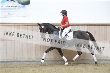 160111_nn_01__ESK1902.JPG