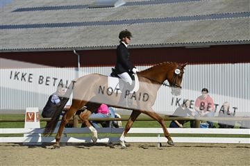 136195_abo_01__AB16451.JPG